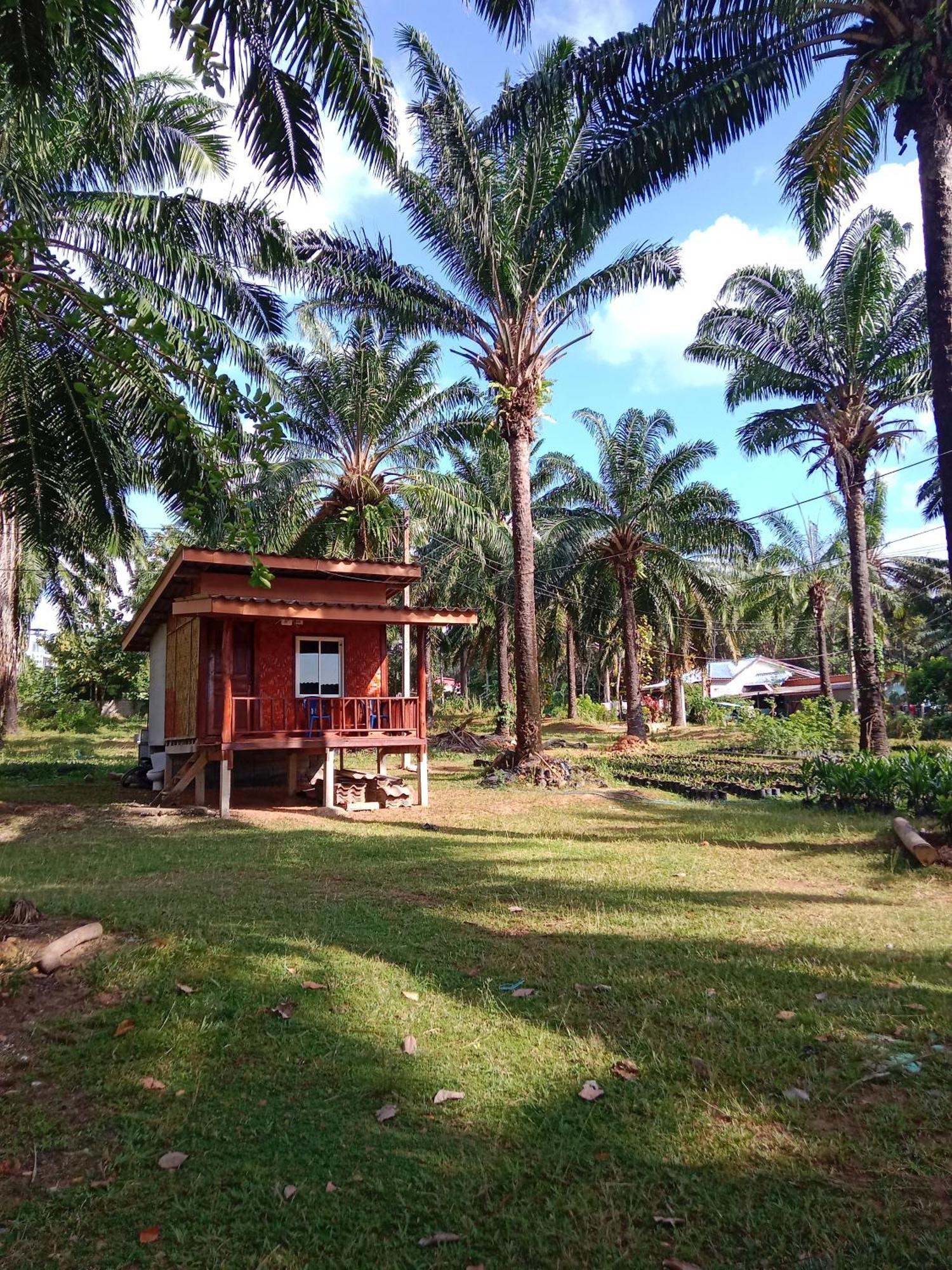 Som Palmgarden Hotel Ko Lanta Eksteriør billede