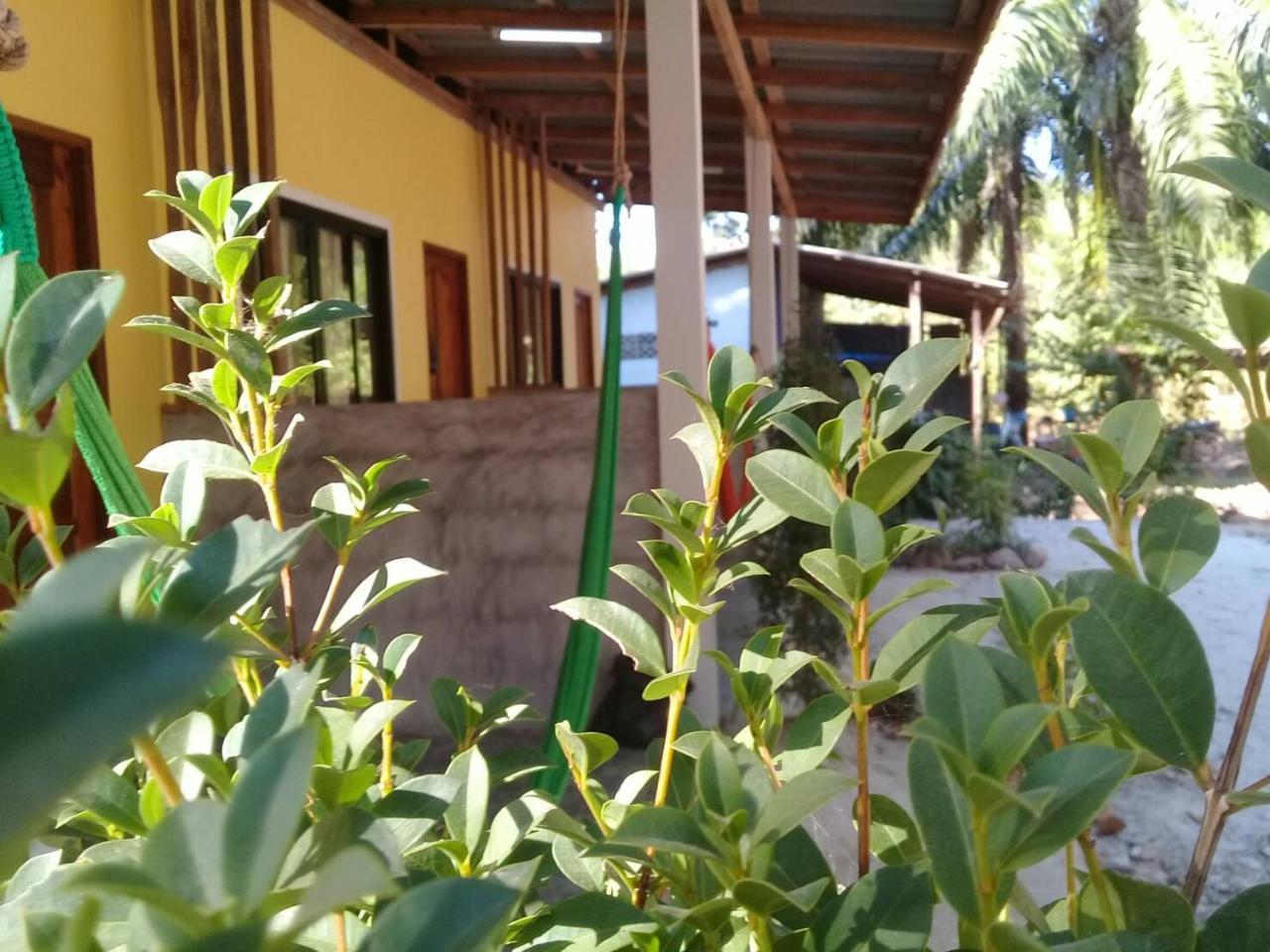 Som Palmgarden Hotel Ko Lanta Eksteriør billede
