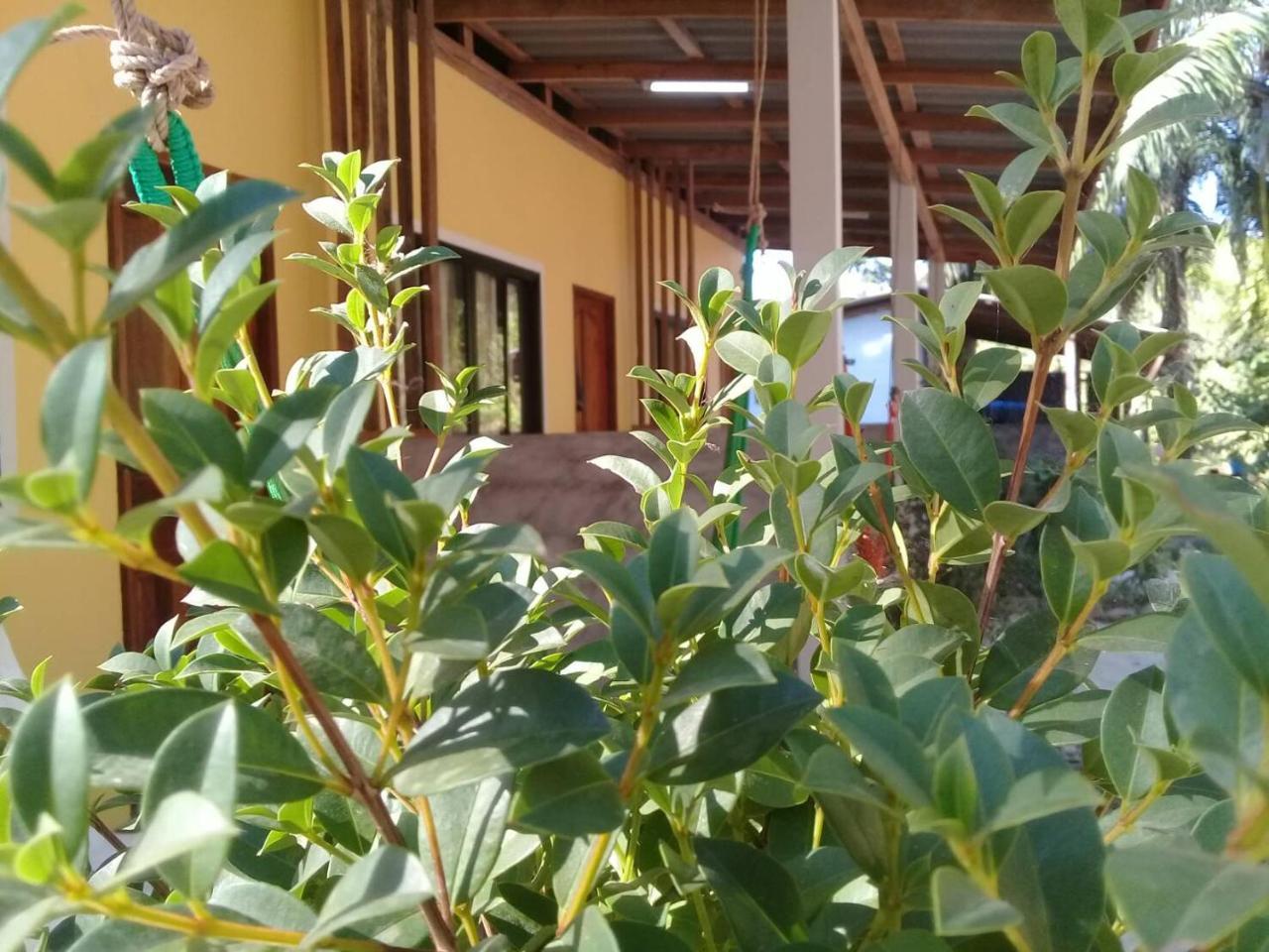 Som Palmgarden Hotel Ko Lanta Eksteriør billede